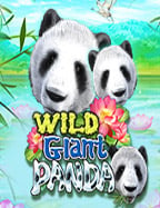 pg slot มา ใหม่ วิธีเล่นที่ไม่ควรพลาด